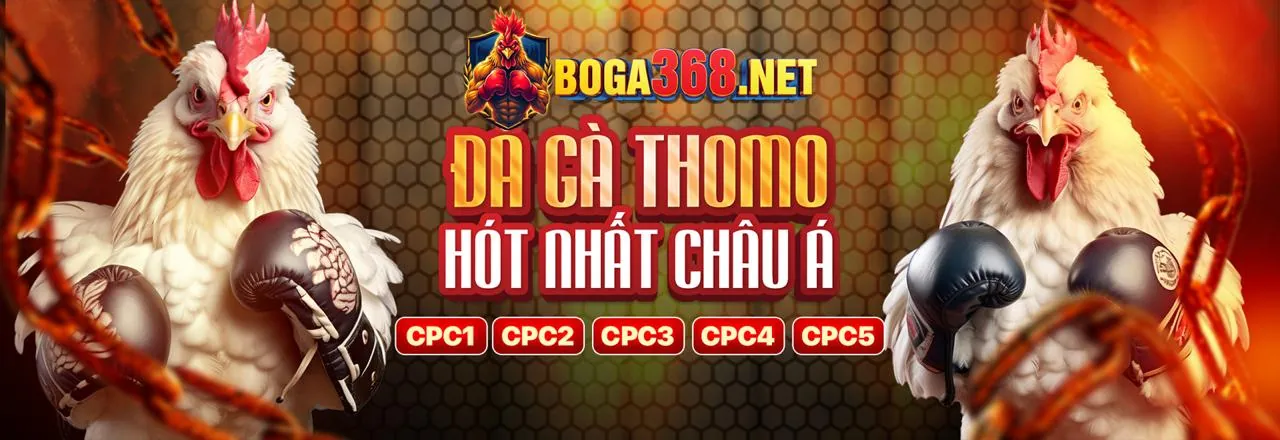 Hình ảnh chính 88bet chính thức